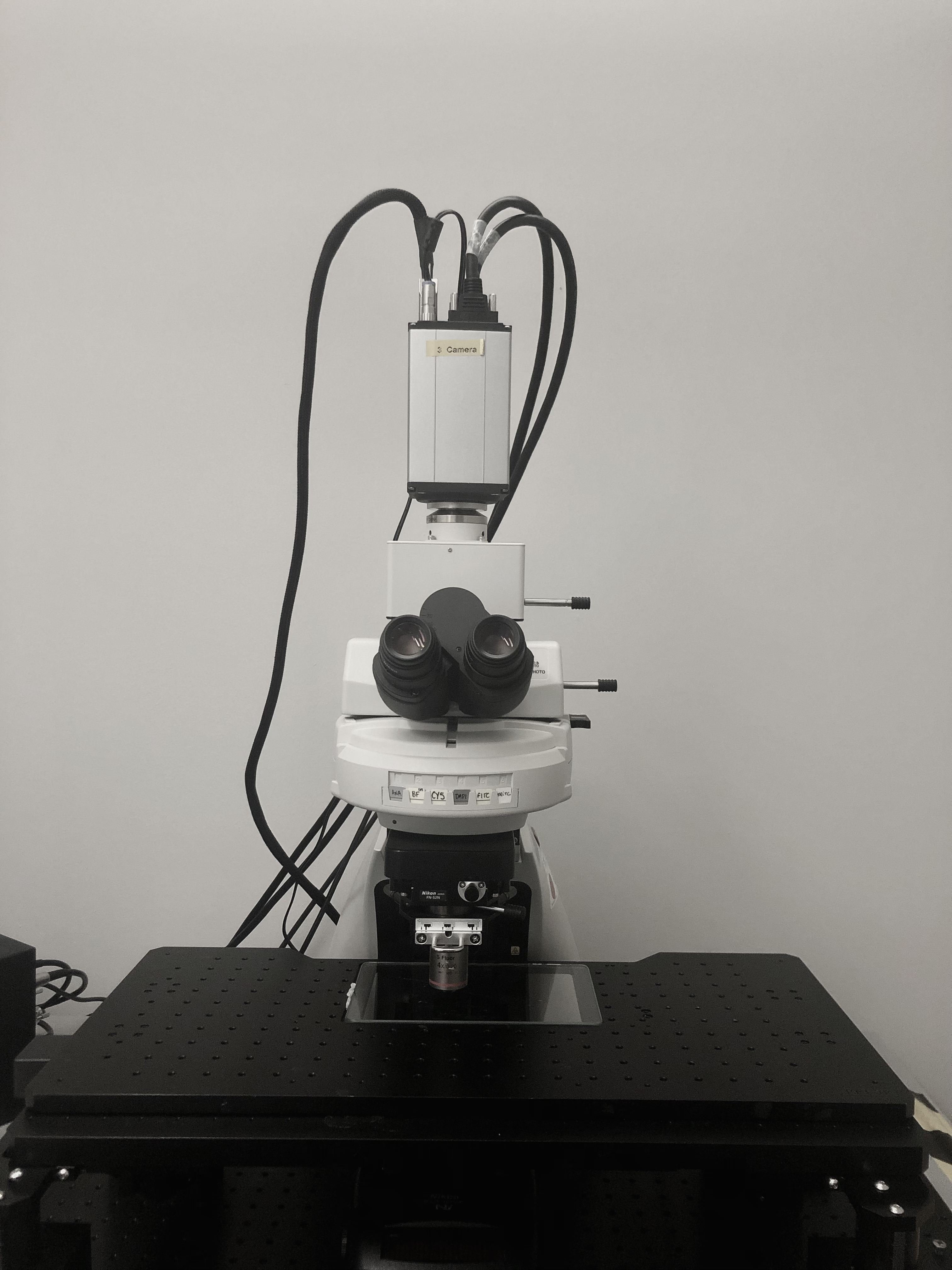 Picture of Fluorescence Microscope Nikon Eclipse