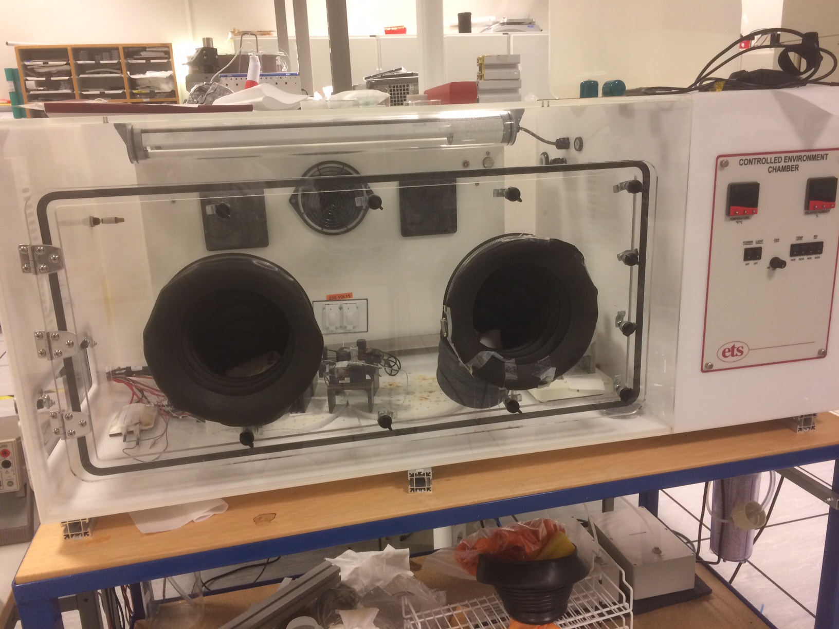 Picture of Humidity chamber with thermoelectric setup