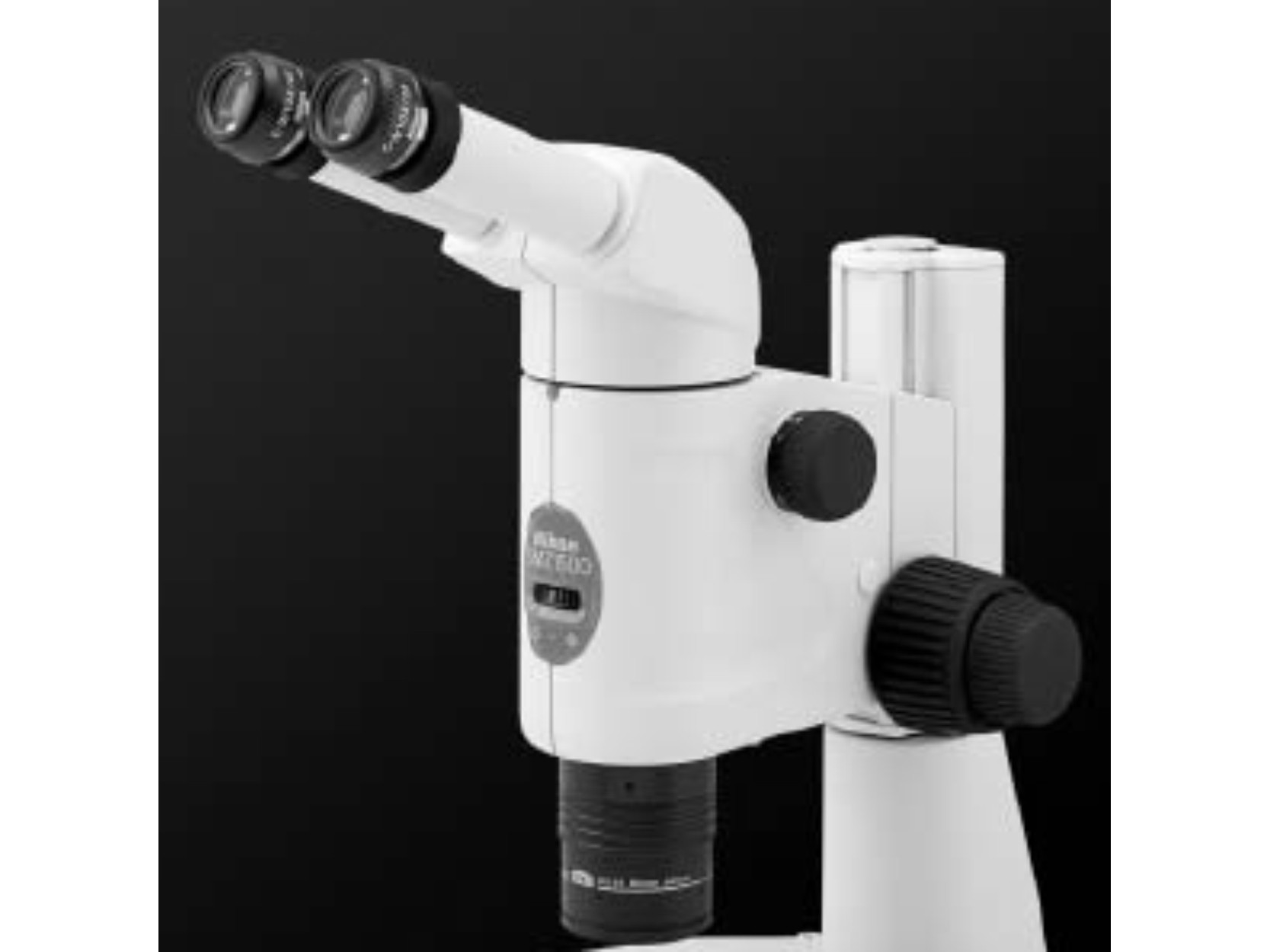 Picture of Stereo Microscope